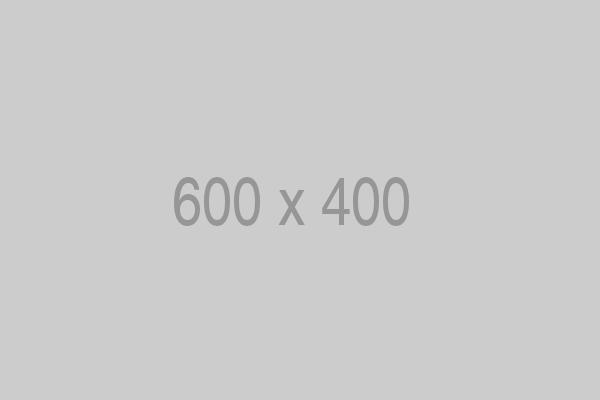 600x400 gray placeholder image