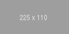 Gray placeholder image 225 by 110