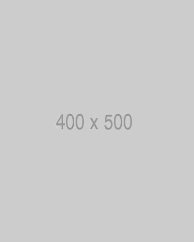 Gray placeholder image reading 400 by 500