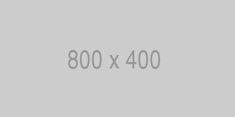 Gray placeholder image showing 800 x 400