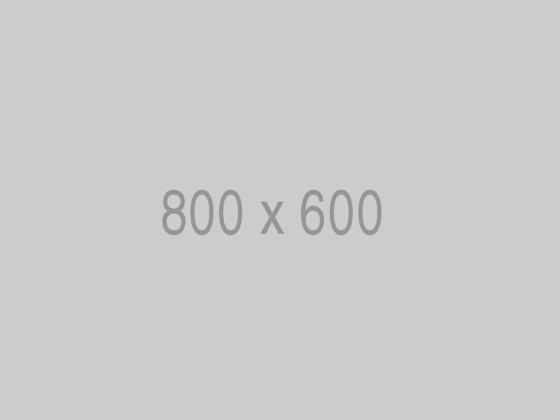 Light gray 800 x 600 sample placeholder